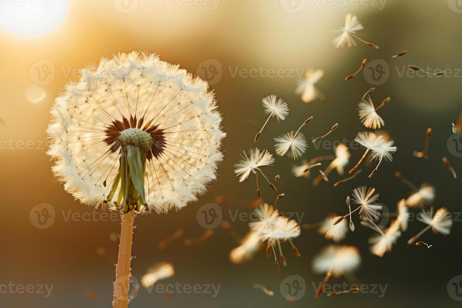 ai generiert Weiß Löwenzahn mit Saat fliegend Weg foto