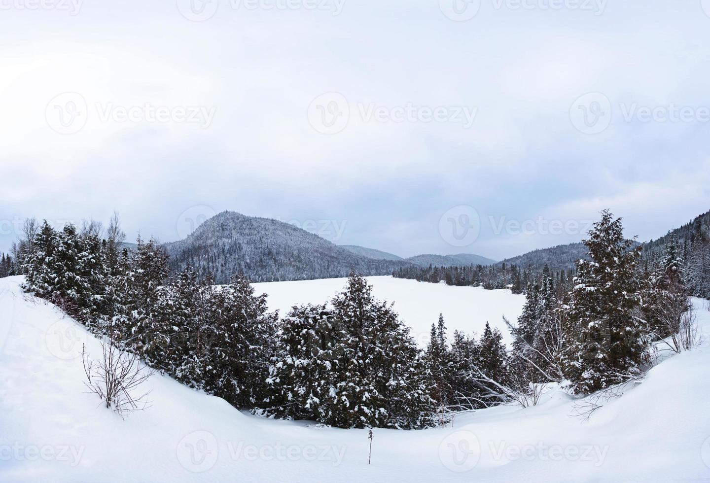 zugefrorener See im Winter foto