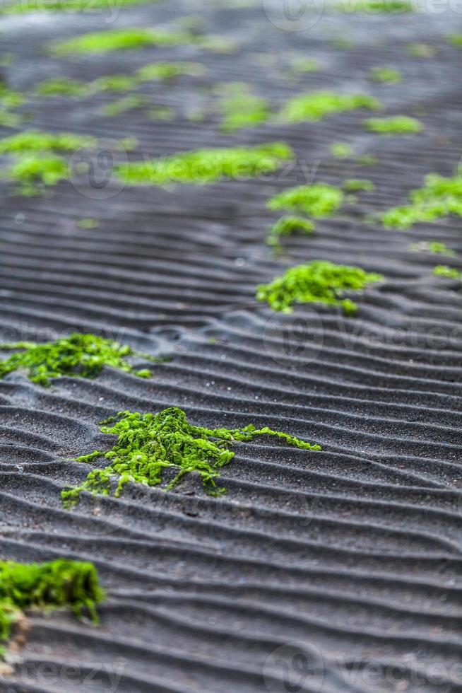 Details und Linien in der Sandtextur eines Strandes foto