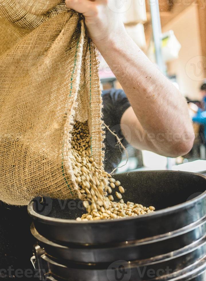 Ernteperson, die rohe Kaffeebohnen in den Eimer gießt foto