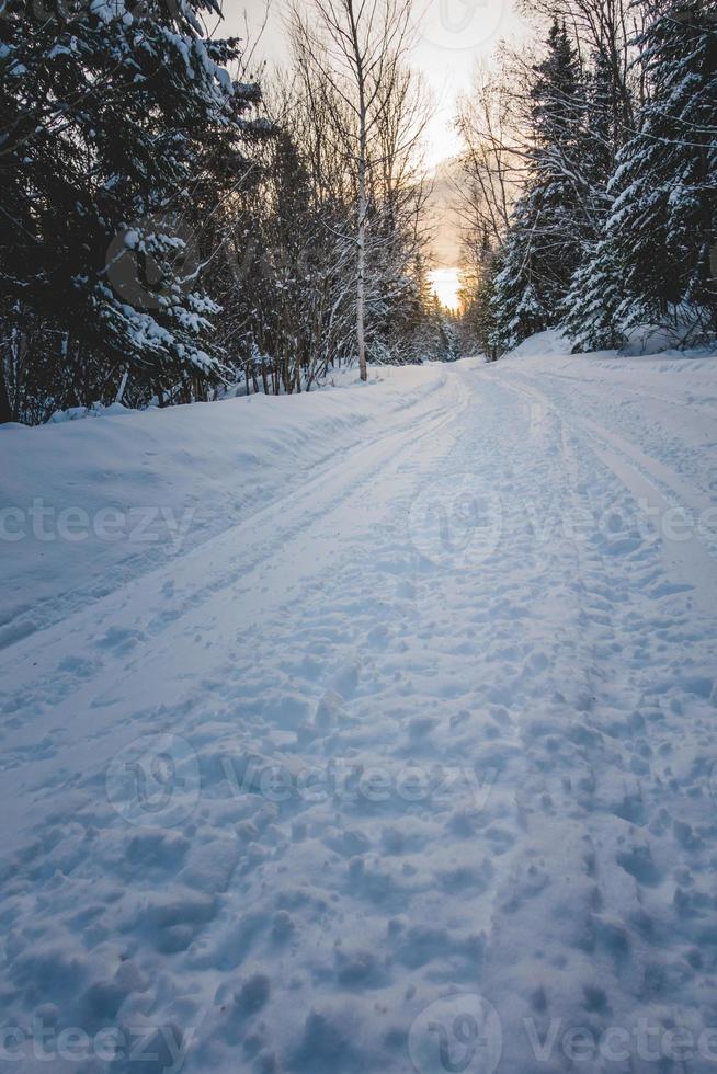 Schneemobilweg in der wilden Natur foto