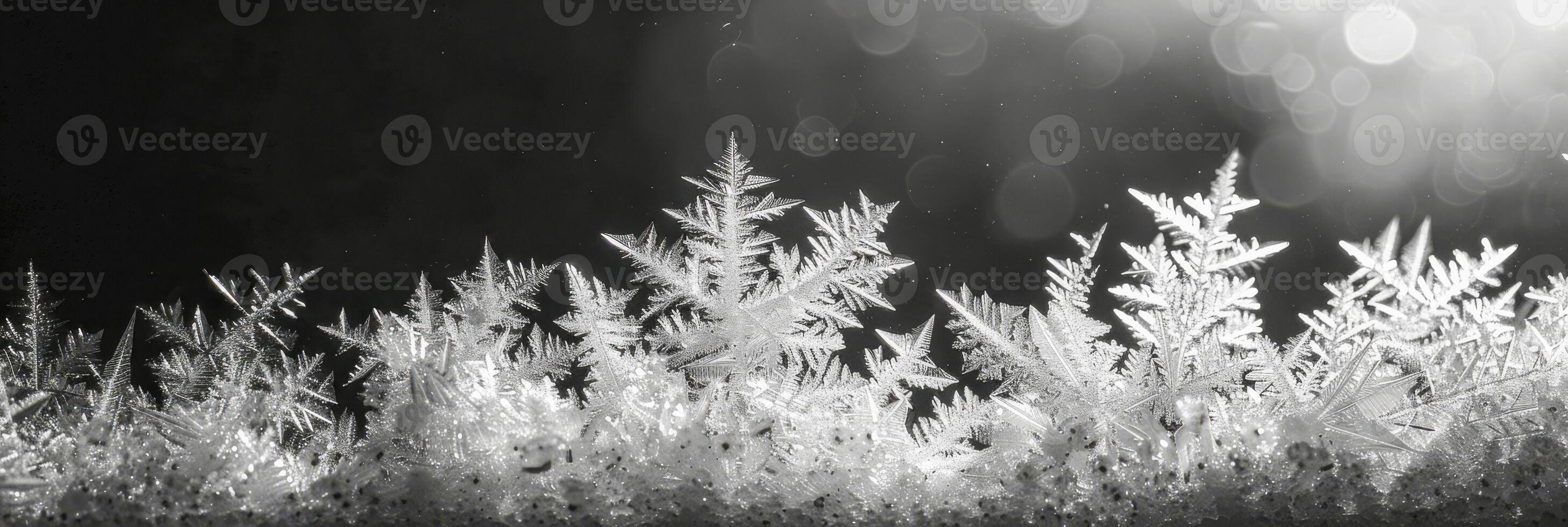 exquisit Frost Muster Bildung natürlich Kunstwerk auf Glas foto