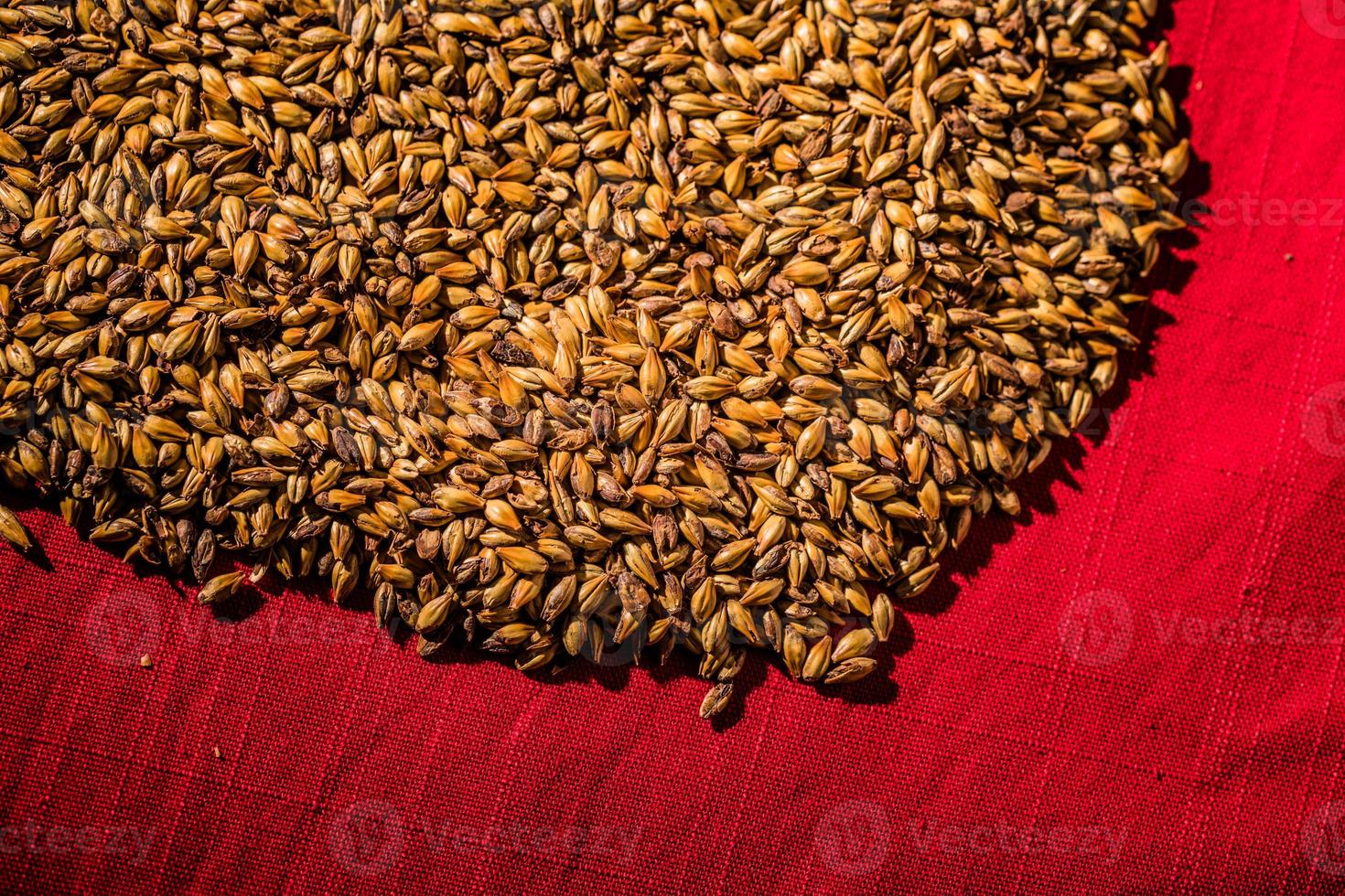 Biergerste gemälzte Karamellkörner Makrotextur foto