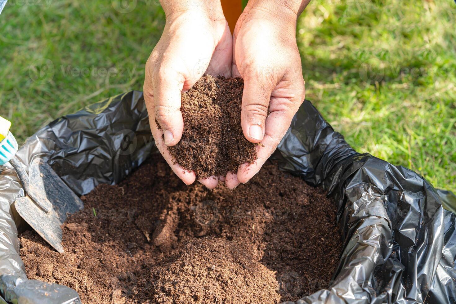 Hand, die Torfmoos organische Substanz hält, verbessert den Boden für die Landwirtschaft Bio-Pflanzenanbau, Ökologiekonzept. foto