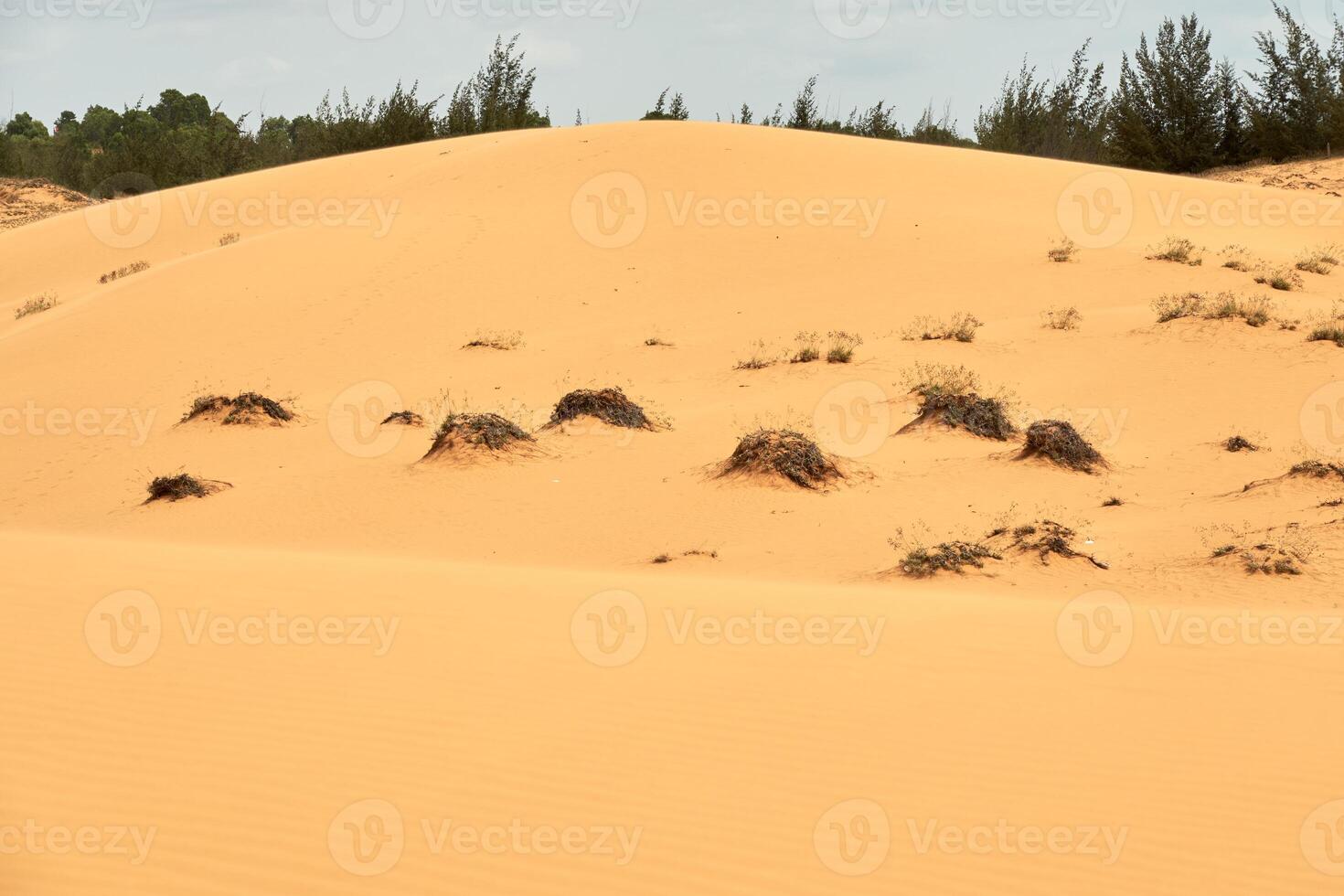 das Textur von Sand im das Wüste wie ein natürlich Hintergrund. foto