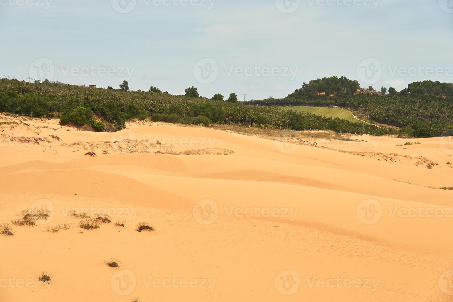 das Textur von Sand im das Wüste wie ein natürlich Hintergrund. foto