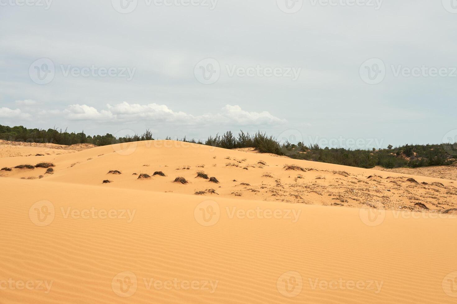 das Textur von Sand im das Wüste wie ein natürlich Hintergrund. foto