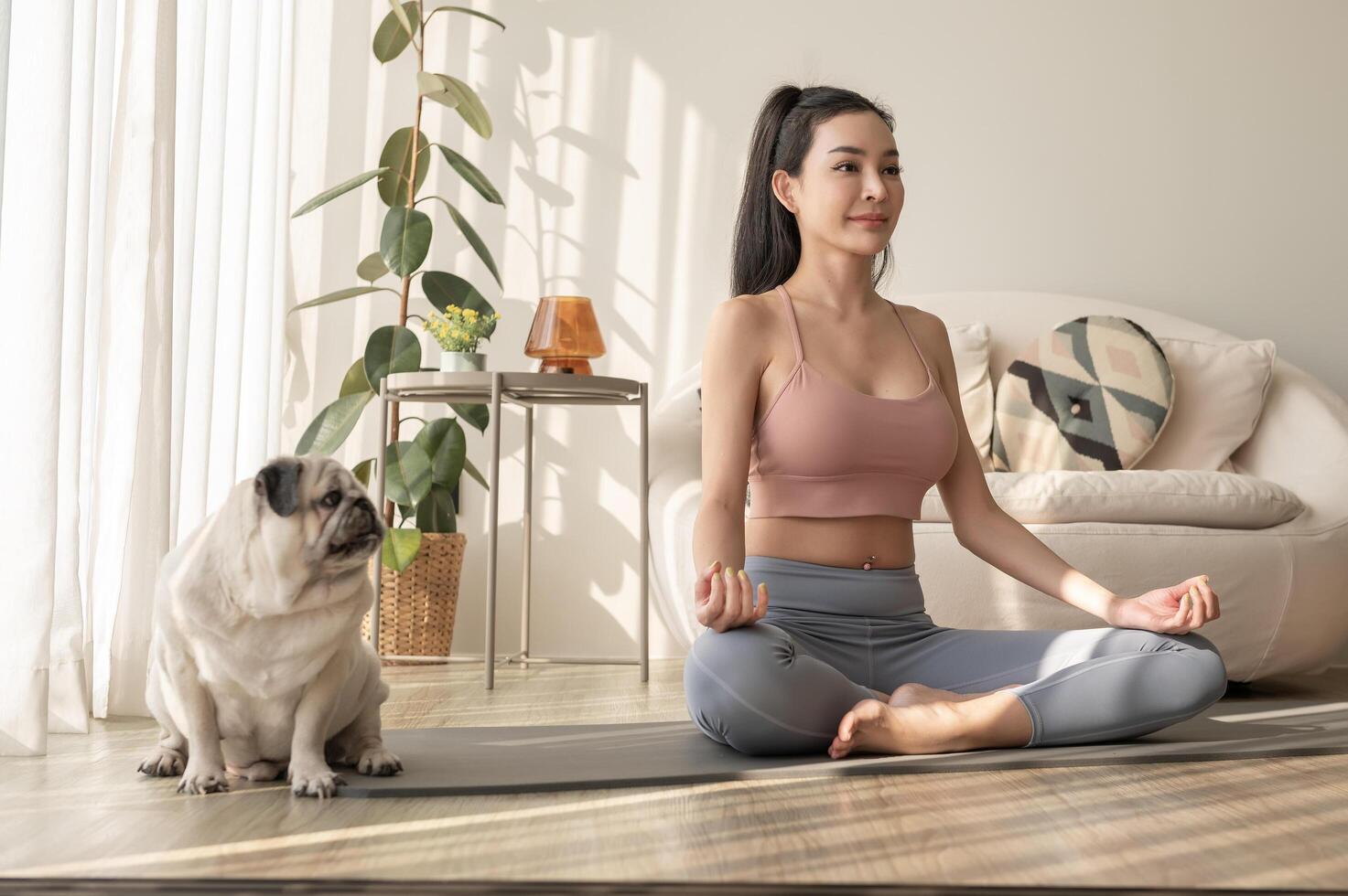 asiatisch Frau im Sportbekleidung ausüben und tun Yoga mit süß Hund im Leben Zimmer beim heim, gesund Lebensstil, mental Gesundheit Konzept. foto