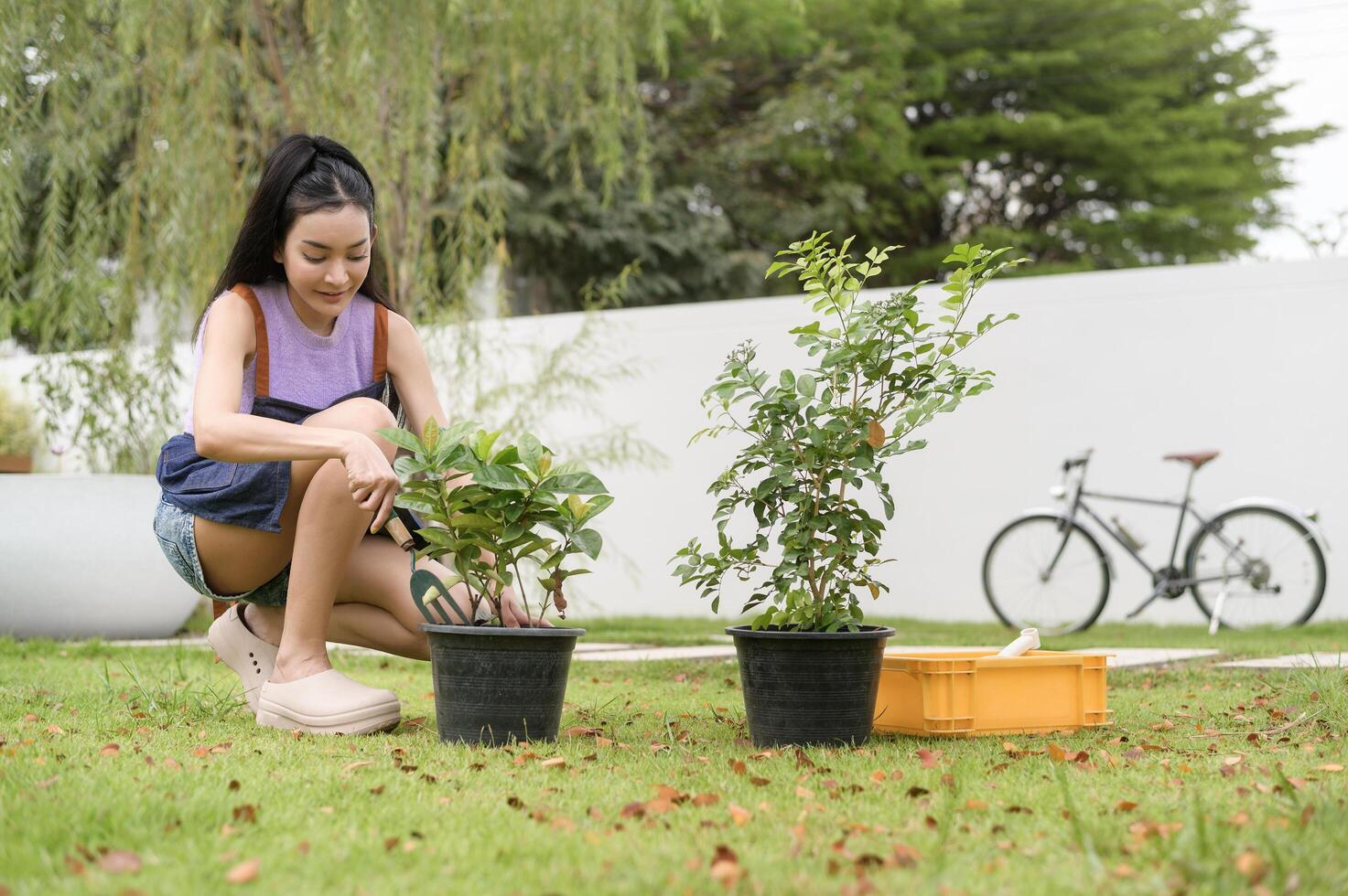 jung asiatisch Frau Pflanzen Baum im das Garten draußen beim heim. foto