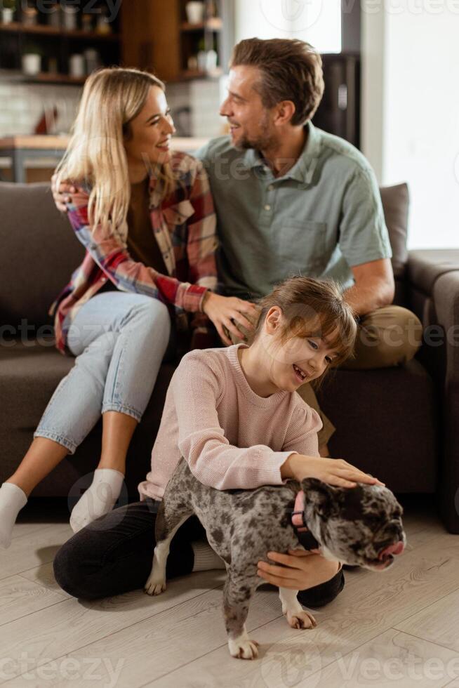 Familie Verbindung Zeit mit spielerisch Französisch Bulldogge Welpe im gemütlich Leben Zimmer foto