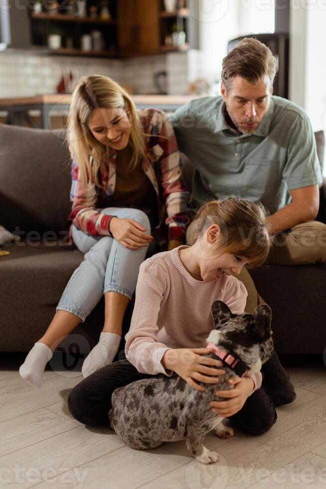 Familie Verbindung Zeit mit spielerisch Französisch Bulldogge Welpe im gemütlich Leben Zimmer foto