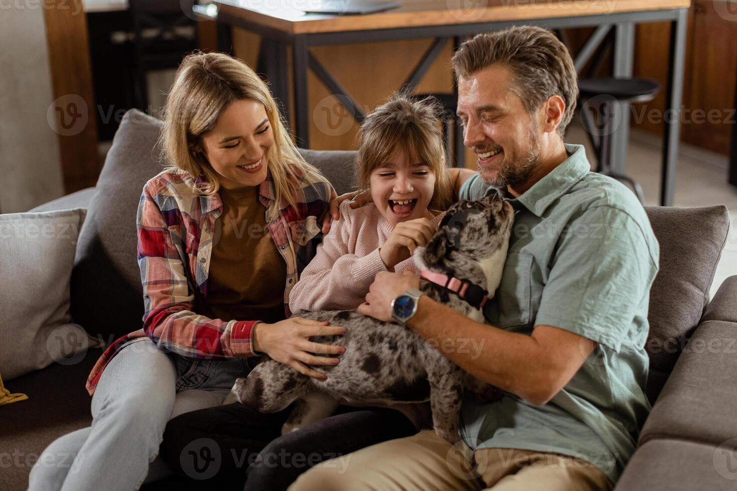 Familie Verbindung Zeit mit spielerisch Französisch Bulldogge Welpe im gemütlich Leben Zimmer foto