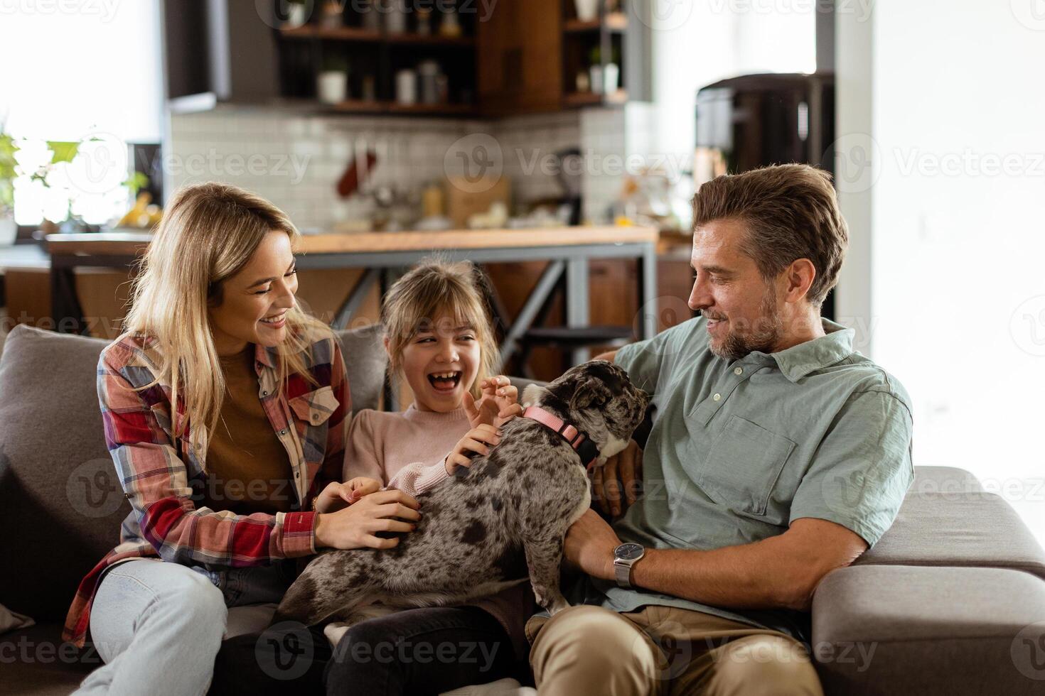 Familie Verbindung Zeit mit spielerisch Französisch Bulldogge Welpe im gemütlich Leben Zimmer foto