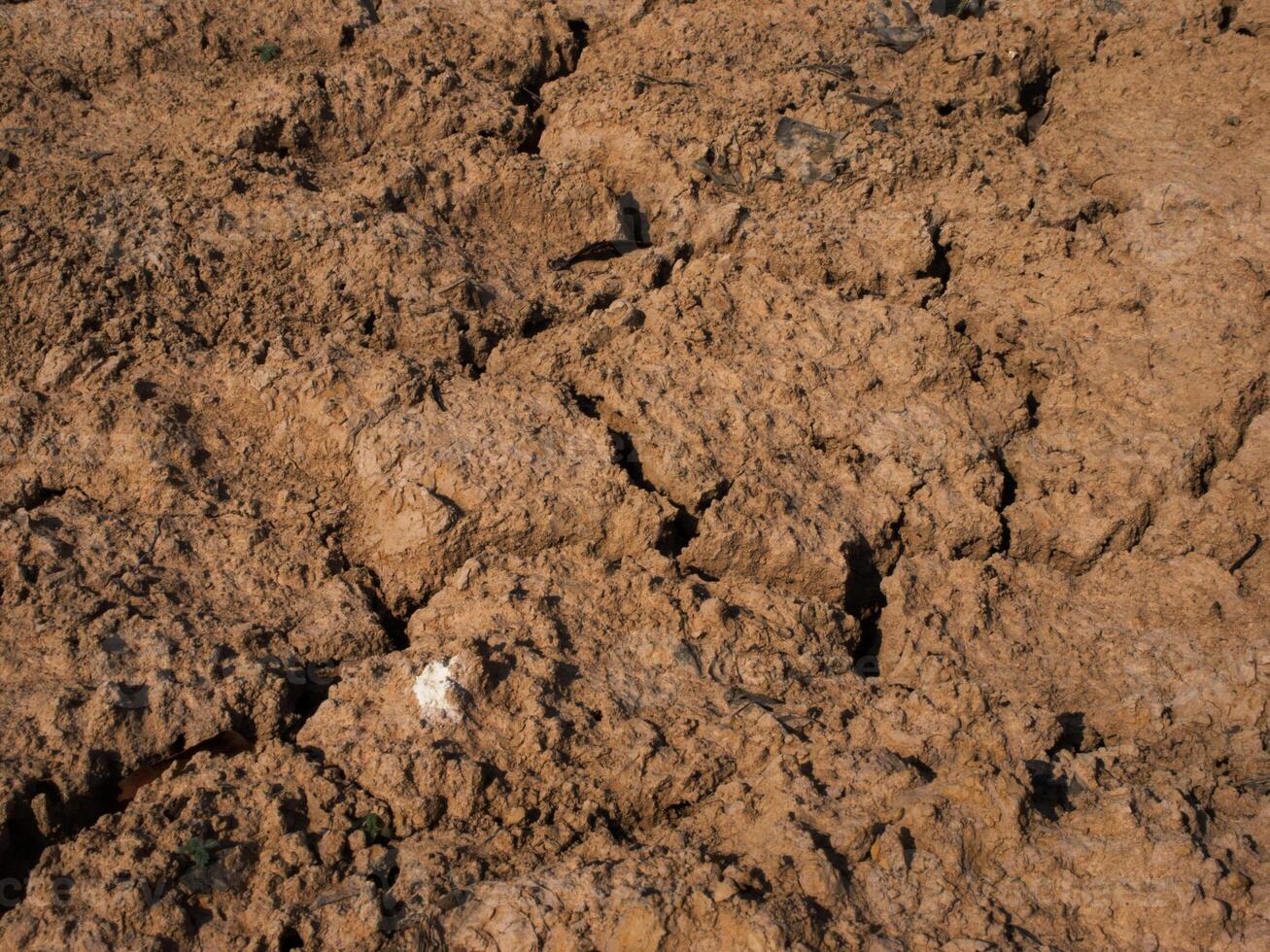 Nahansicht von trocken Boden, das Boden ist trocken und ausgedörrt. foto