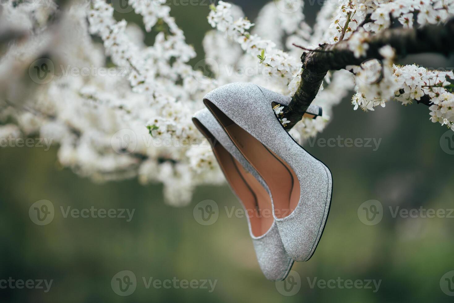 elegant und stilvoll Braut- Schuhe foto