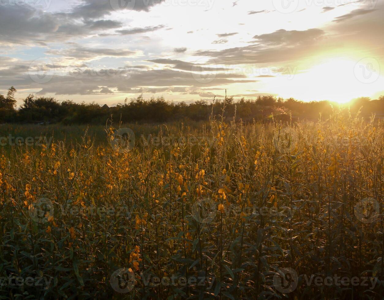 spektakulär Sonnenuntergang über, Orange Sonne steigend oben Über das Horizont foto