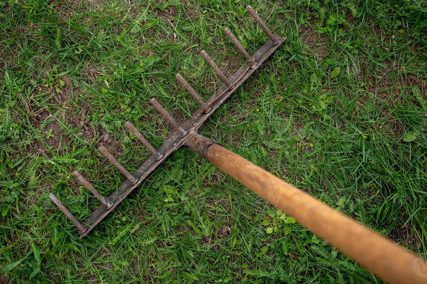 Garten Rechen auf Grün Gras im das Garten. selektiv Fokus. foto