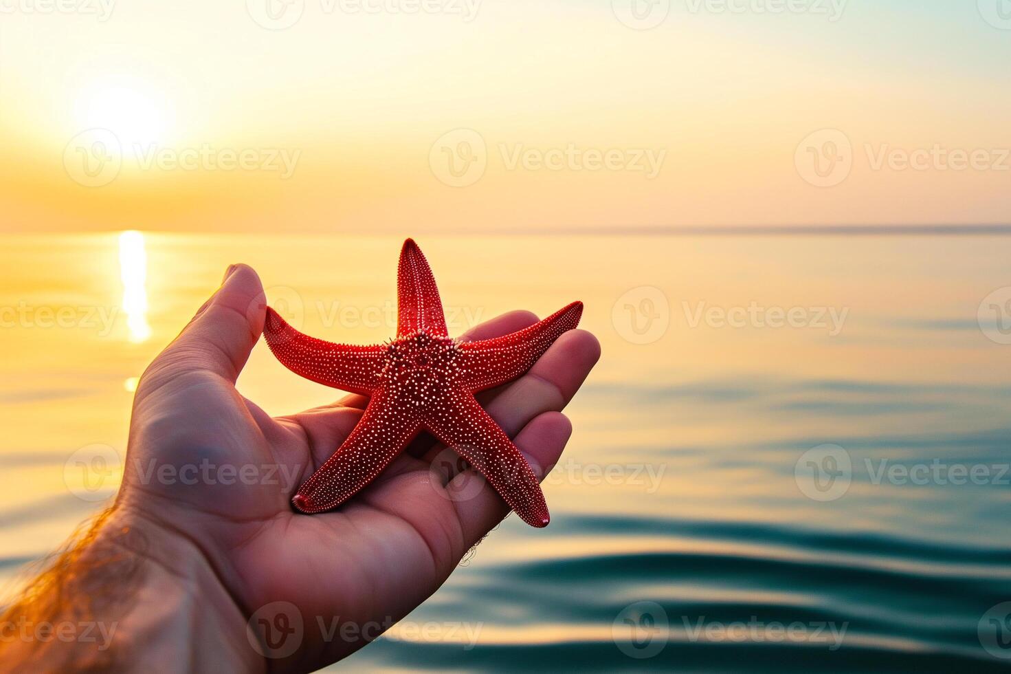 ein des Mannes Hand hält ein Seestern gegen das Hintergrund von ein Ruhe Meer foto