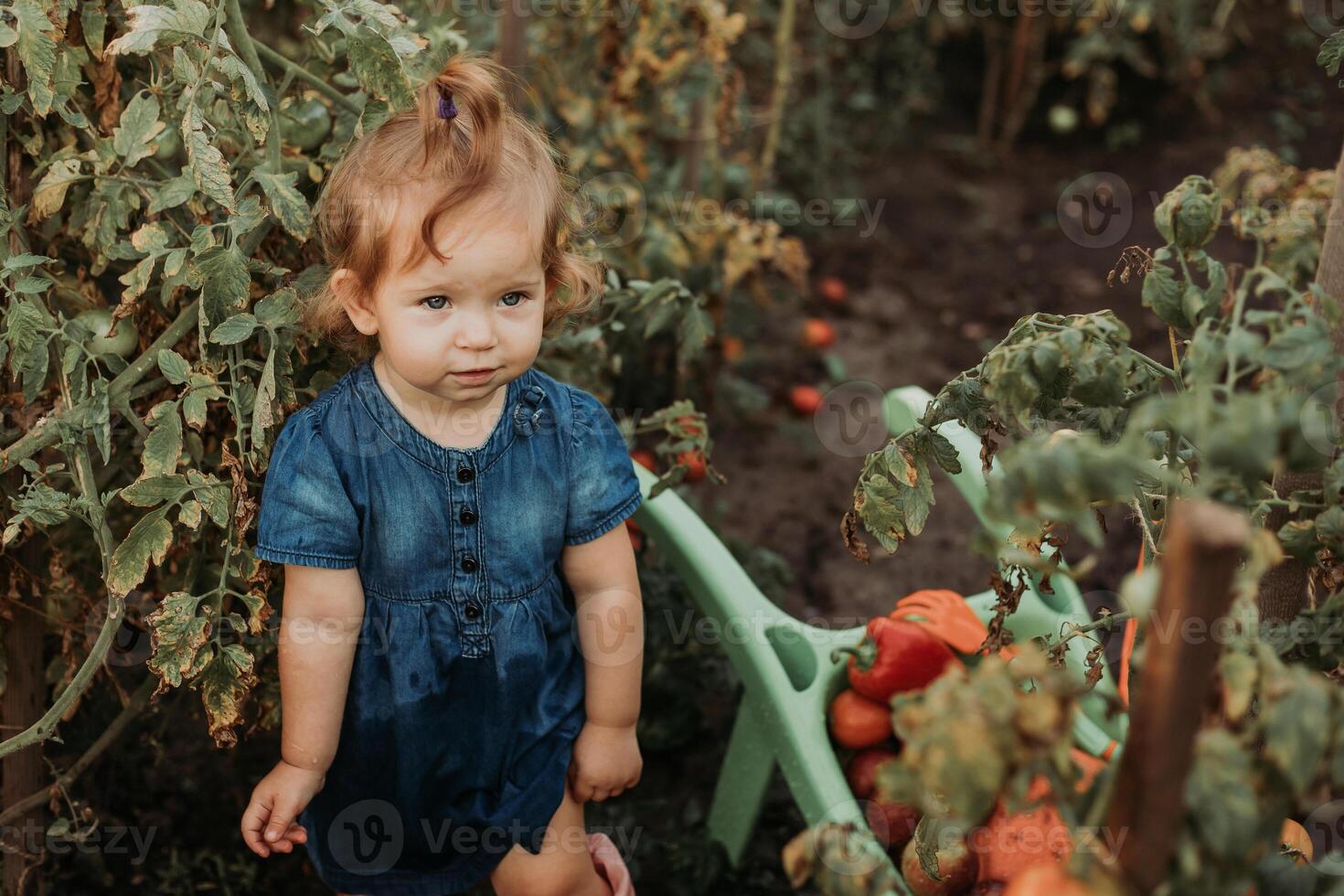 wenig Mädchen im Kleid, Gummi Stiefel und ein Stroh Hut ist Bewässerung, bewässern Pflanzen im das Herbst Garten foto