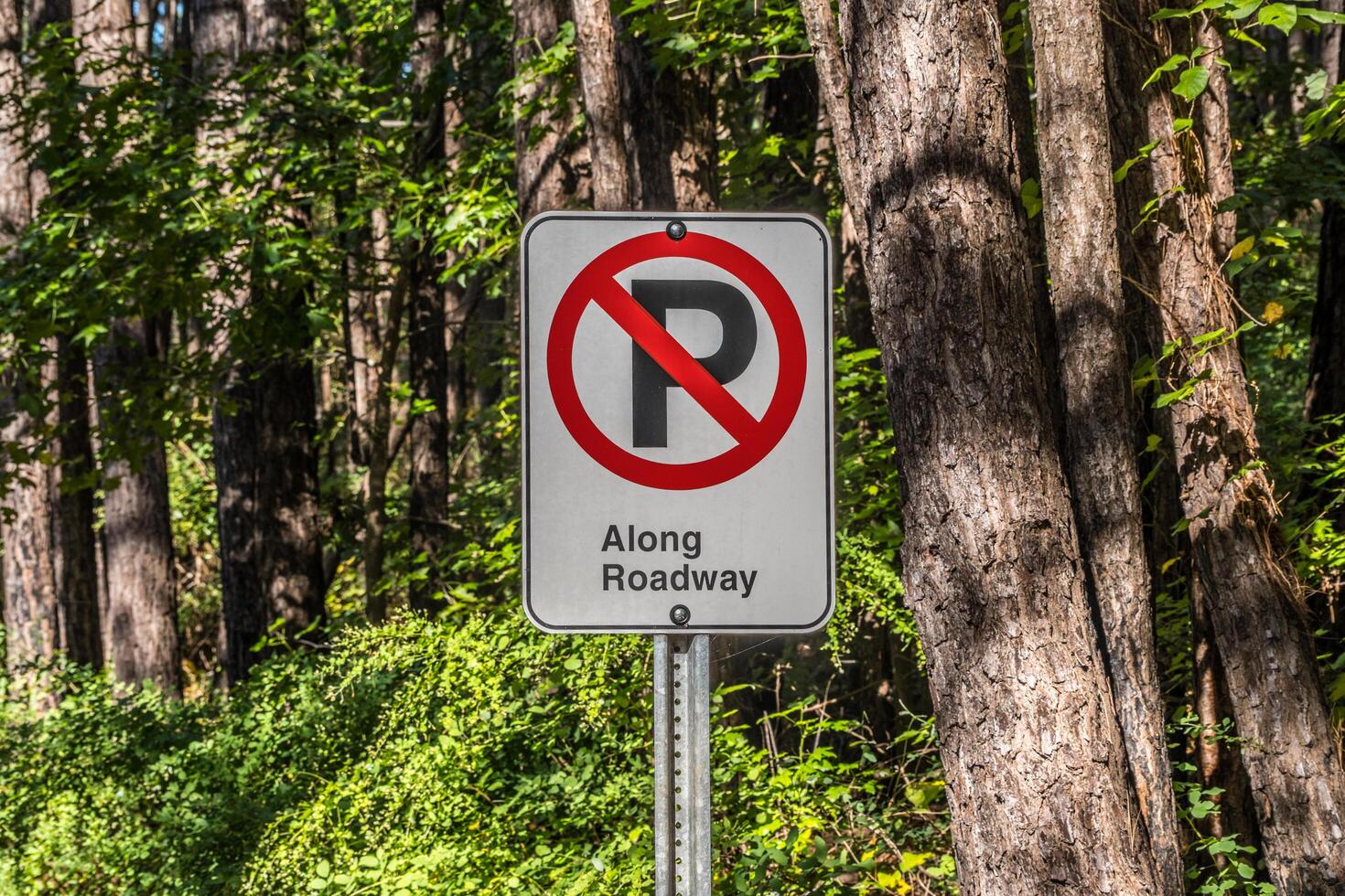 Nein Parkplatz Zeichen Nahansicht foto