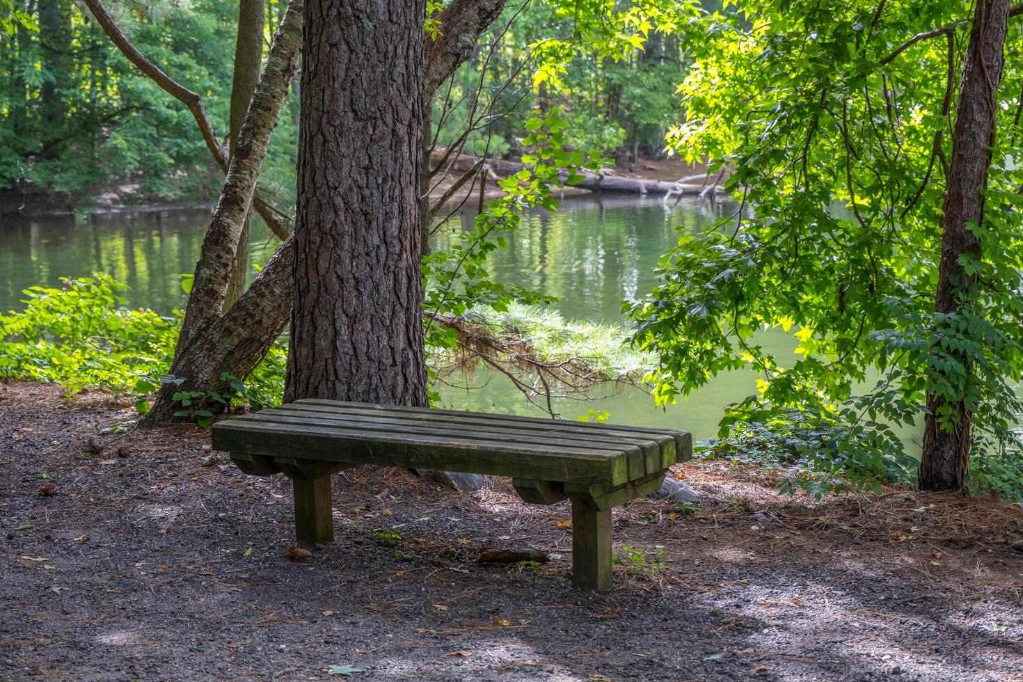 Bank beim das See entlang das Wanderwege foto