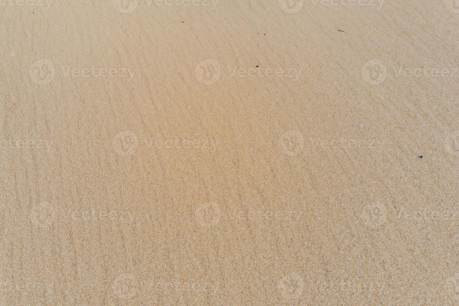 Horizont Oase Antenne Gelassenheit erfasst schön Strand Sand von über, ein still Tapisserie von Küsten Schönheit foto