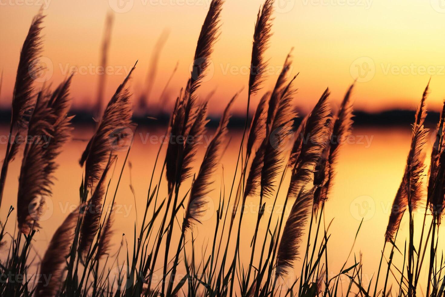 Schilf Blumen sich aalen im das strahlend glühen von das Abend Sonne, Erstellen ein spektakulär Tapisserie von der Natur flüchtig Schönheit im das still Dämmerung Himmel foto