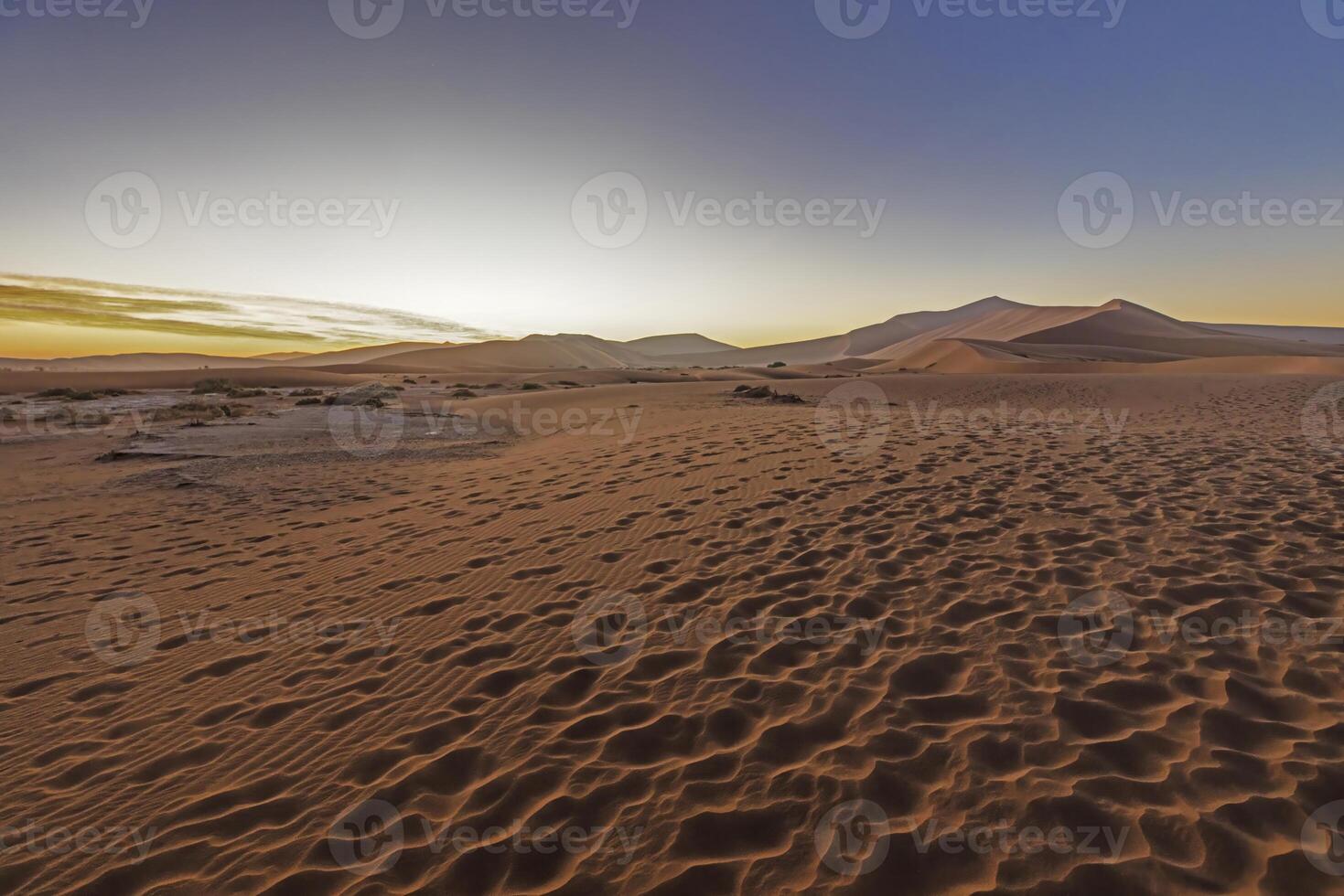 Panorama- Bild von das rot Dünen von das namib Wüste mit Fußabdrücke im das Sand gegen Blau Himmel foto