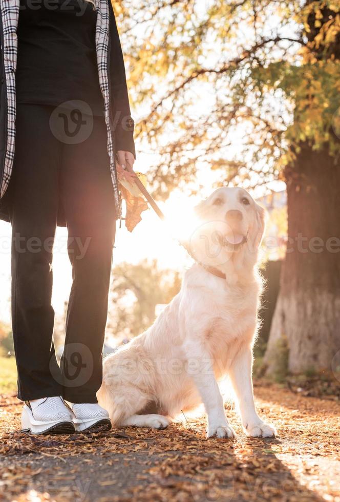 Frau und ihr Retrieverhund im Park bei Sonnenuntergang foto