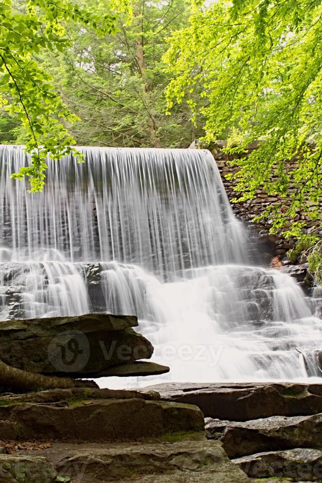 Wasserfall im Wald foto