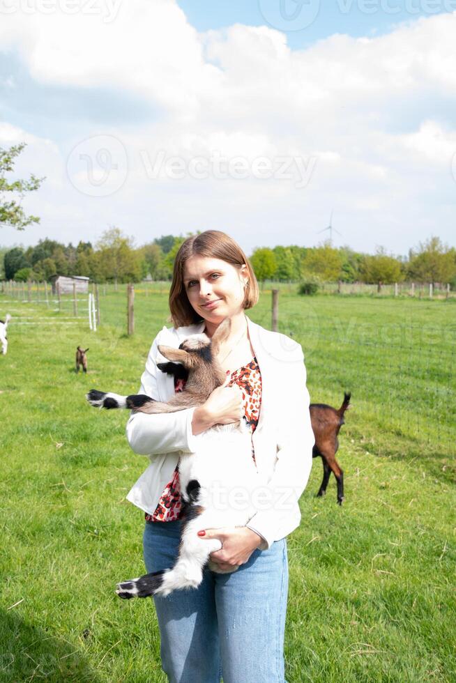 jung Frau Theaterstücke mit Ziege Kinder, Fütterung ihnen, Sonne leuchtenden, Landschaft foto