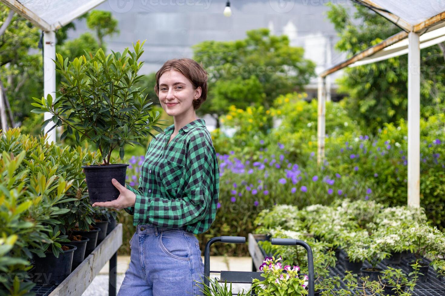 jung kaukasisch Kunde ist wählen exotisch Pflanze von das lokal Garten Center Kindergarten mit Einkaufen Wagen voll von Sommer- Pflanze zum Wochenende Gartenarbeit und draussen Konzept foto