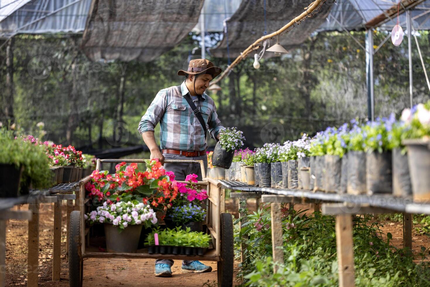 jung asiatisch Gärtner ist wählen blühen Pflanze von das lokal Garten Center Kindergarten mit Einkaufen Wagen voll von Sommer- Pflanze zum Wochenende Gartenarbeit und draussen Konzept foto