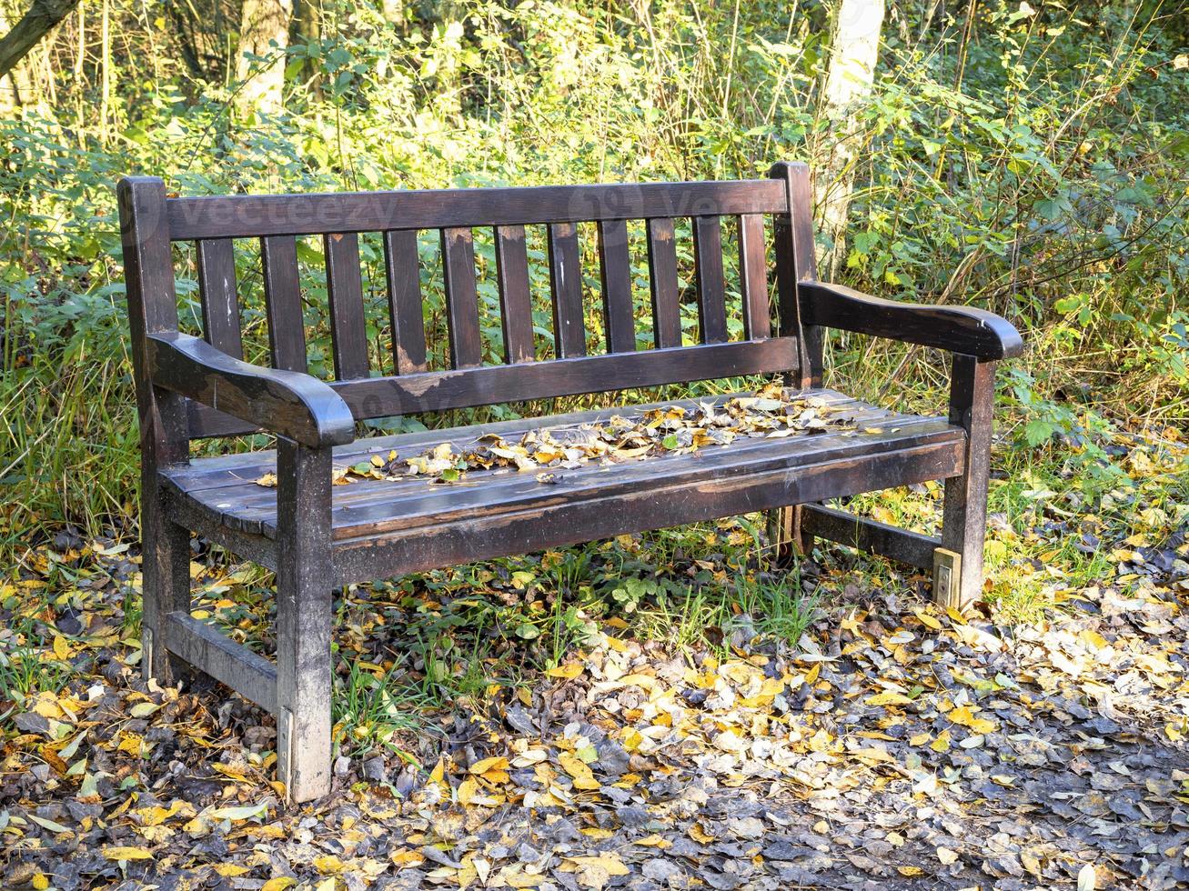 Holzbank in einem mit Herbstlaub bedeckten Wald foto