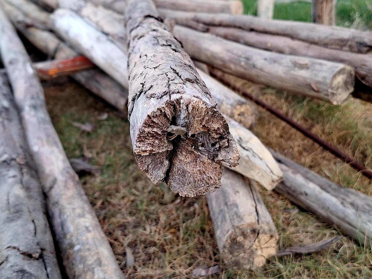 Nahansicht von ein Stapel von Holz auf ein Konstruktion Seite? ˅. foto