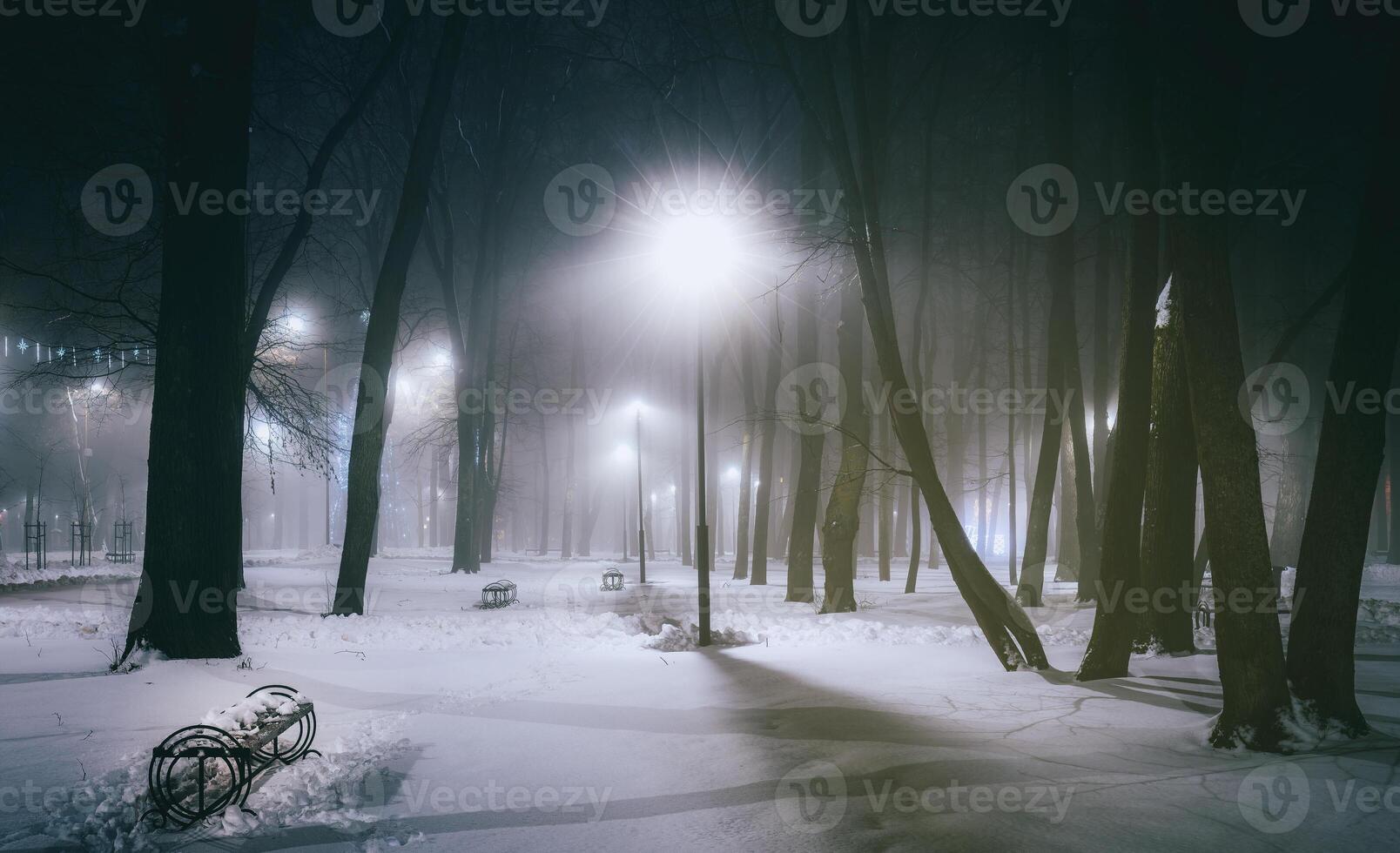 Winter Park beim Nacht mit Weihnachten Dekorationen, glühend Laternen und Bäume bedeckt mit Schnee. Jahrgang Film ästhetisch. foto