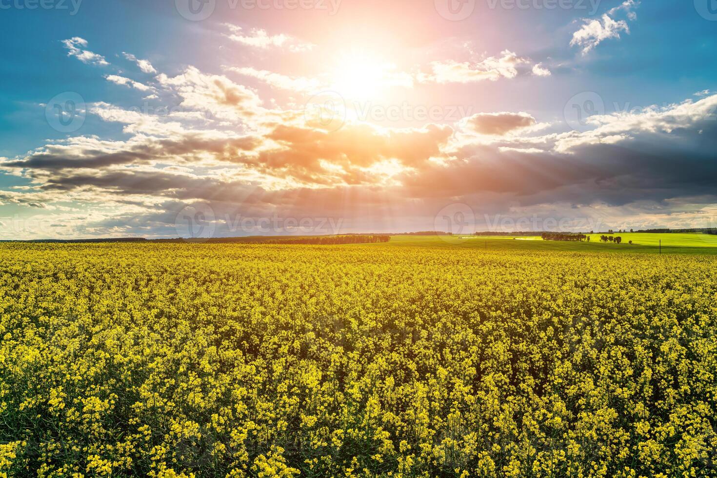 Sonnenstrahlen brechen durch das Wolken im ein Raps Feld. foto