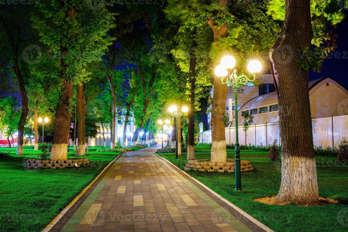 Stadt Nacht Park im früh Sommer- oder Frühling mit Gehweg, Laternen, jung Grün Rasen und Bäume. foto