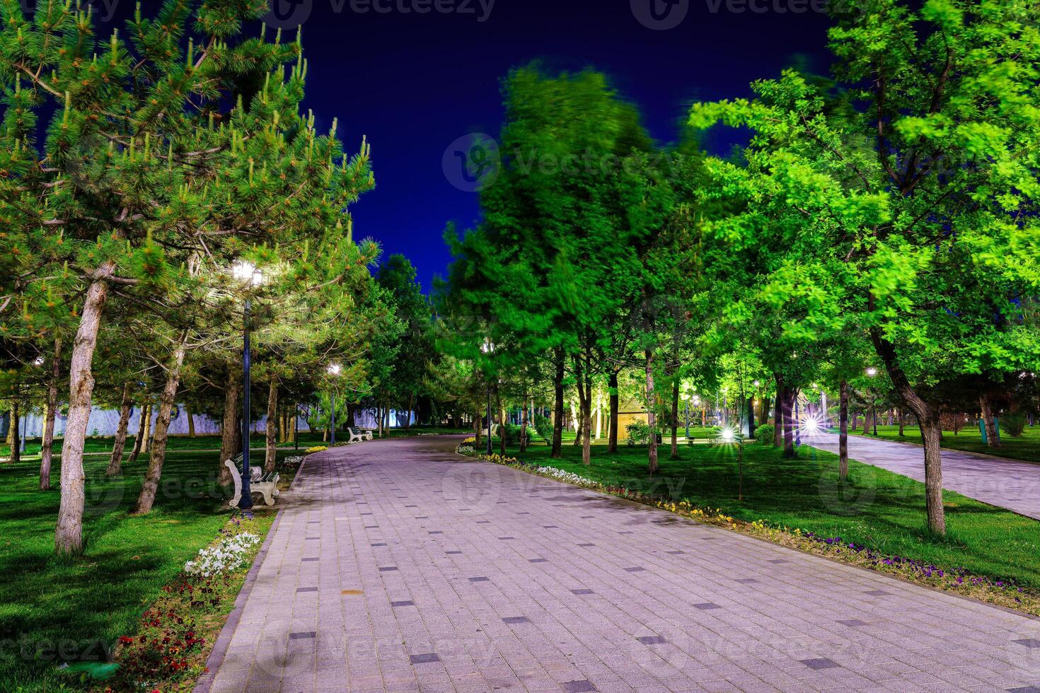 Stadt Nacht Park im früh Sommer- oder Frühling mit Gehweg, Laternen, jung Grün Rasen und Bäume. foto