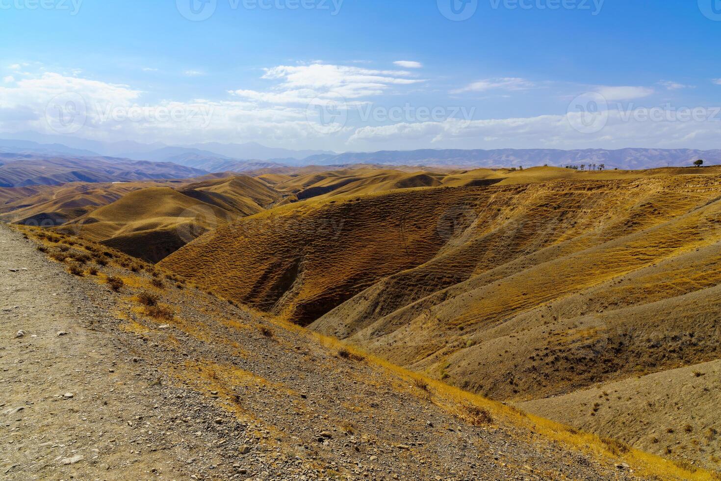ein verlassen Teil von das Abonnieren Natur Reservieren im Usbukistan auf ein sonnig Sommer- Tag. Aussicht von das Berge. foto