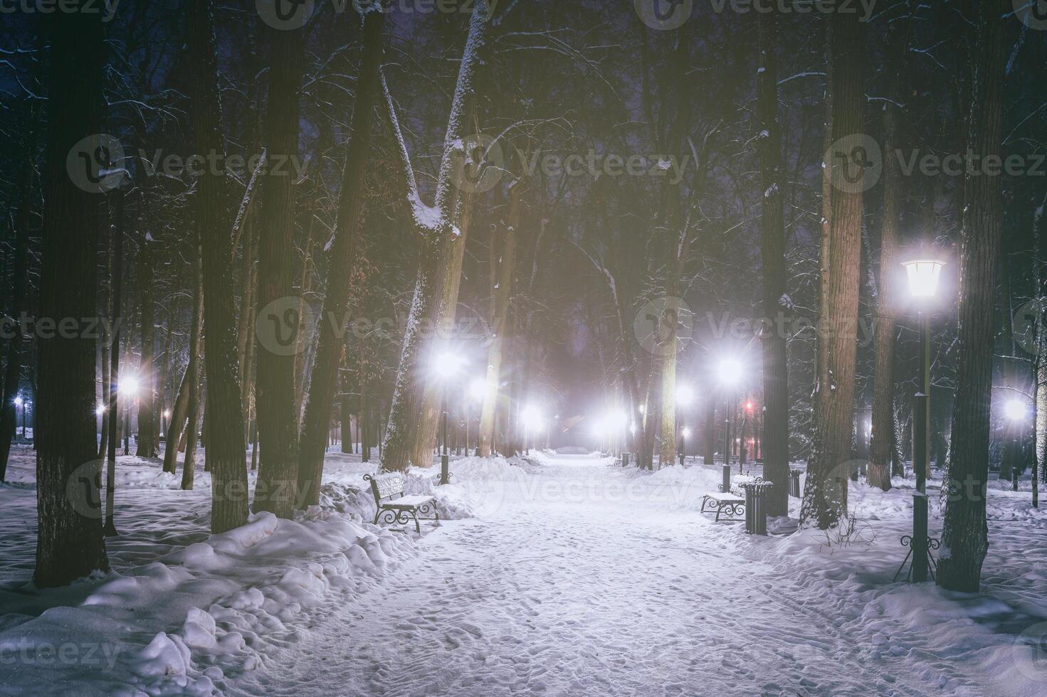 Winter Nacht Park mit Bäume, glühend Laternen und Bänke bedeckt mit Schnee. Jahrgang Film ästhetisch. foto