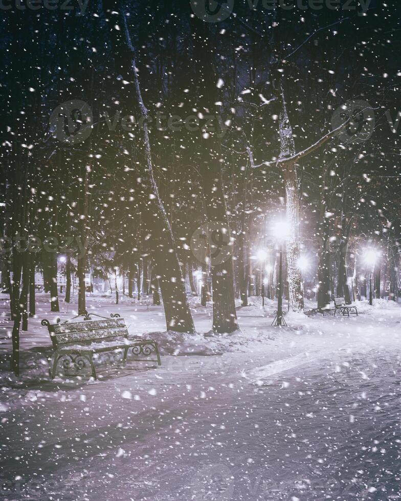 Schneefall im ein Winter Park beim Nacht mit glühend Laternen, Pflaster bedeckt mit Schnee und Bäume. Jahrgang Film ästhetisch. foto