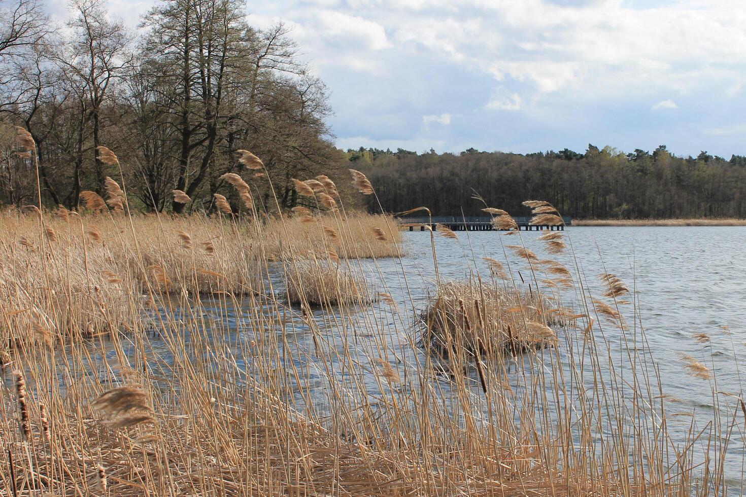 Natur Hintergrund Foto