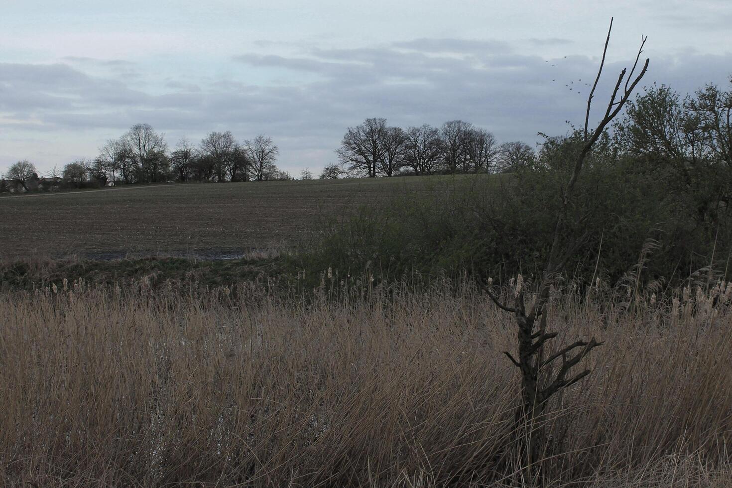 Natur Hintergrund Foto