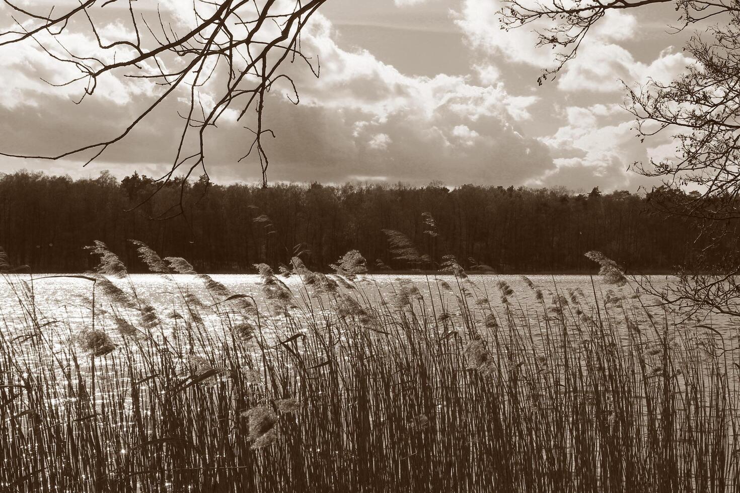 Natur Hintergrund Foto