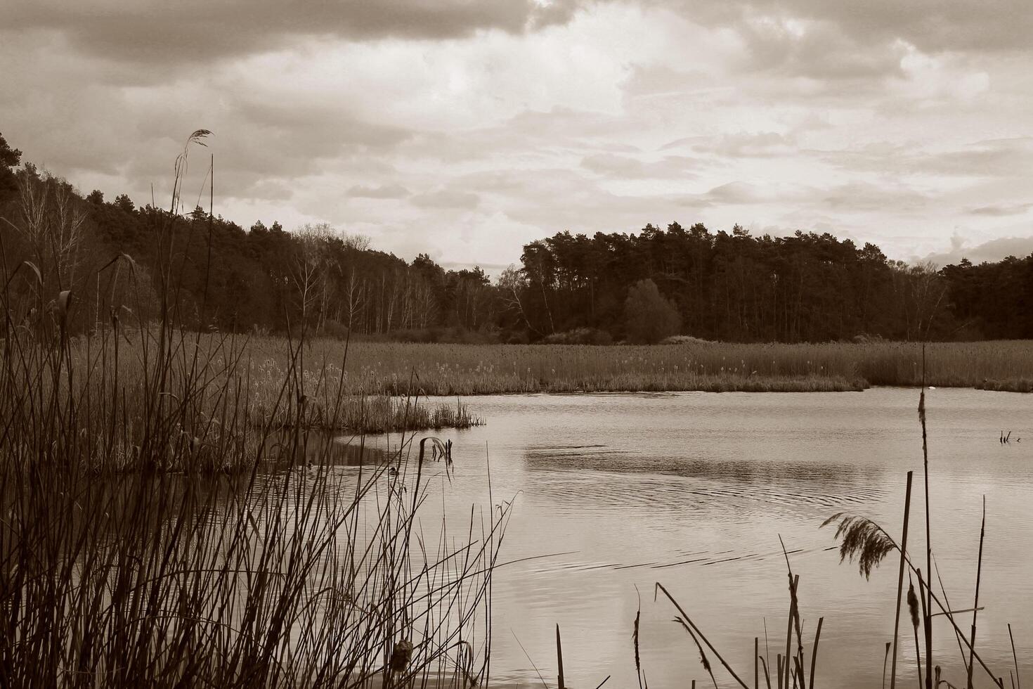 Natur Hintergrund Foto