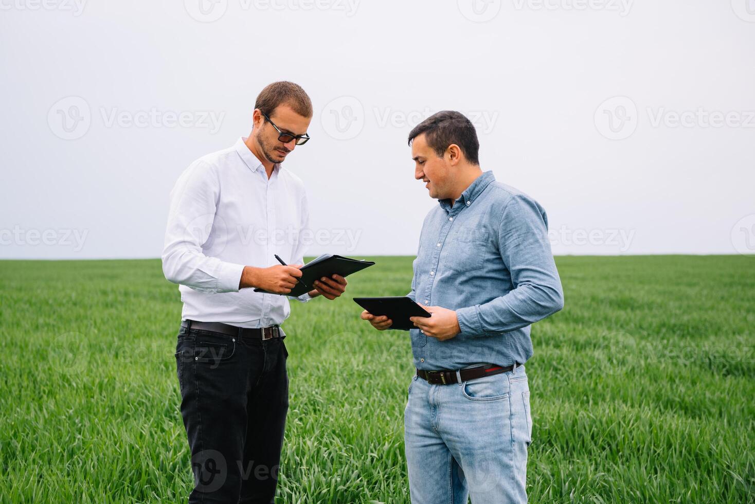 zwei Farmer Stehen im ein Weizen Feld und suchen beim Tablette, Sie sind Prüfung Corp. foto