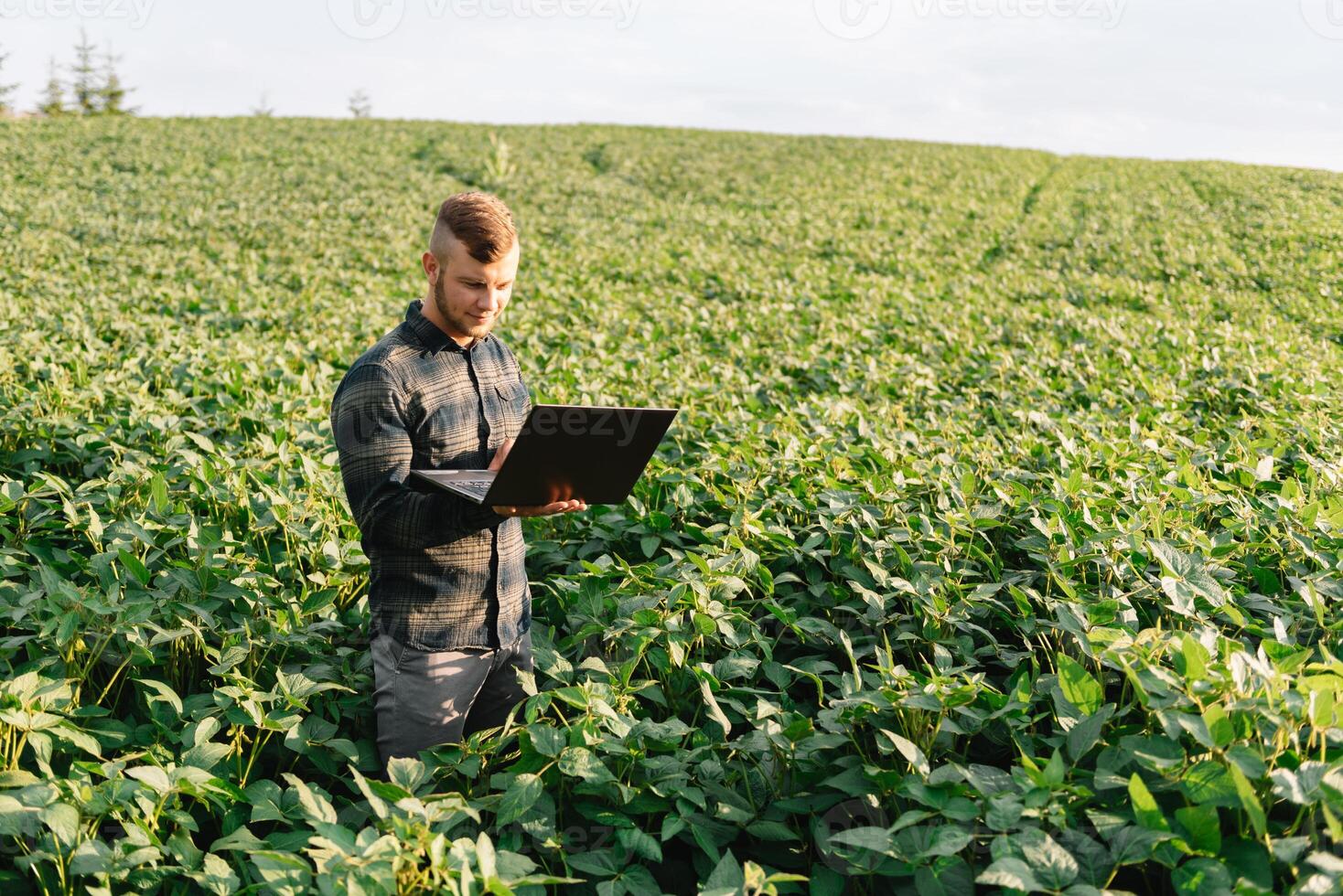 Agronom inspizieren Soja Bohne Pflanzen wachsend im das Bauernhof Feld. Landwirtschaft Produktion Konzept. Landwirtschaft Konzept. landwirtschaftlich Ingenieur Stehen im ein Soja Feld foto