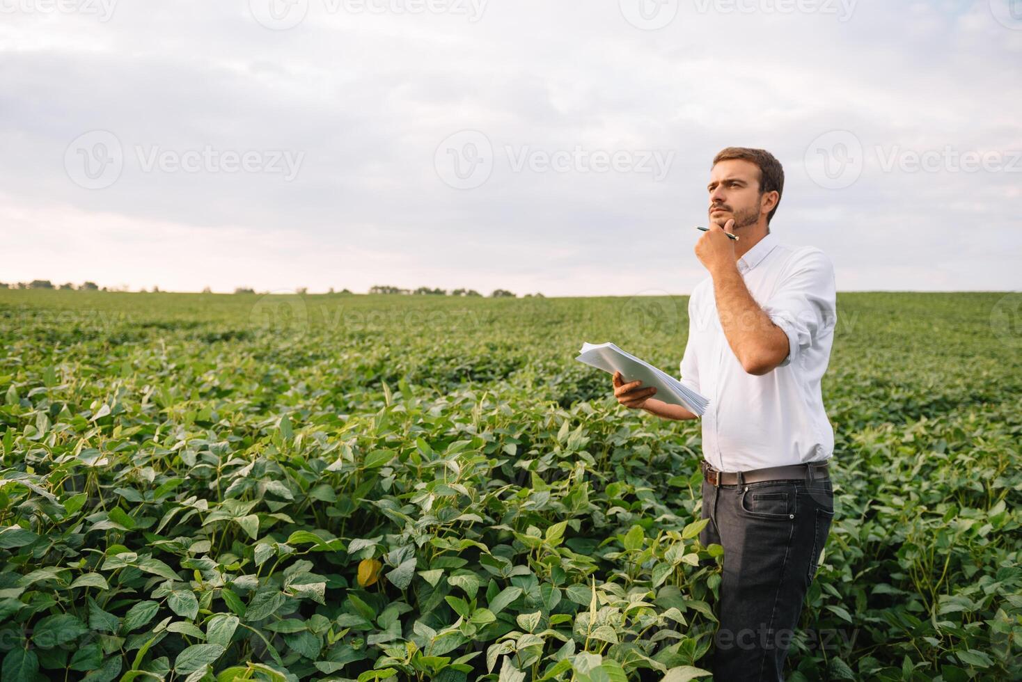 Agronom inspizieren Soja Bohne Pflanzen wachsend im das Bauernhof Feld. Landwirtschaft Produktion Konzept. Landwirtschaft Konzept. landwirtschaftlich Ingenieur Stehen im ein Soja Feld foto