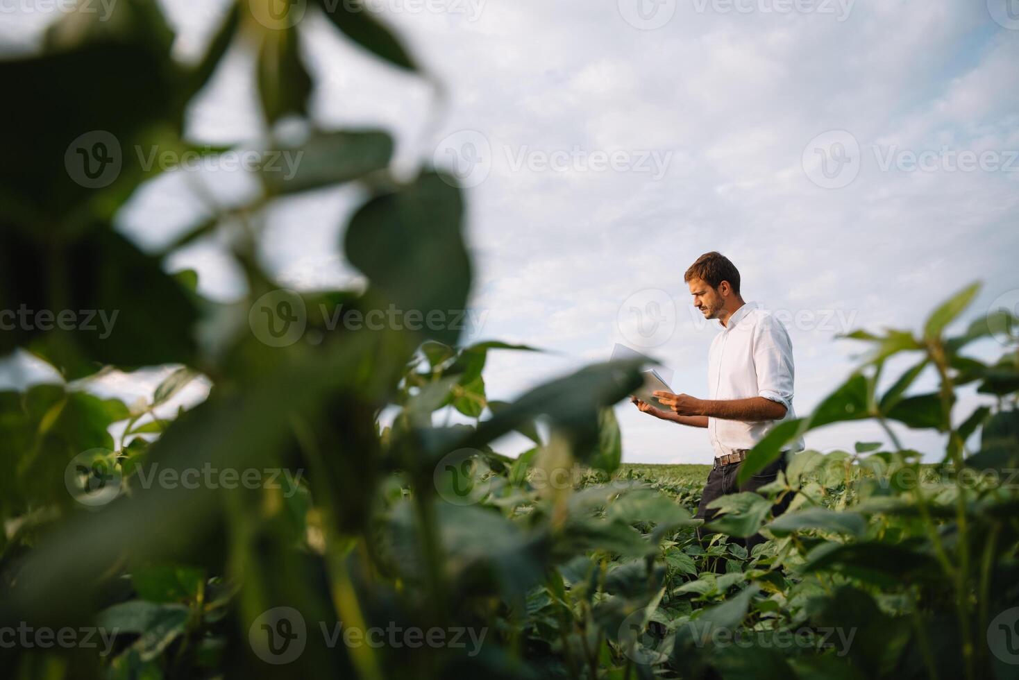 jung Farmer im abgelegt Prüfung Sojabohne Corp. er ist Daumen oben foto